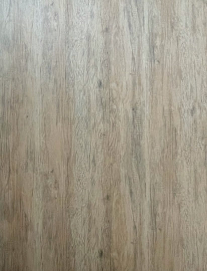 820原木黃雪衫